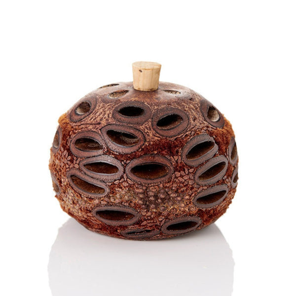 Mini Banksia Pod Diffuser